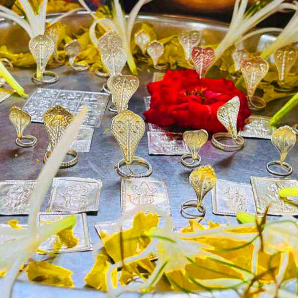 narayan nagbali puja 
